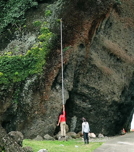 保種中心與台電合作進行復育，深入天池等森林步道、懸崖峭壁，採集原生蘭花的種子，在溫室內授粉、繁殖，將花苗馴化後，將種苗運至蘭嶼低放貯存場繼續繁殖並提供認養