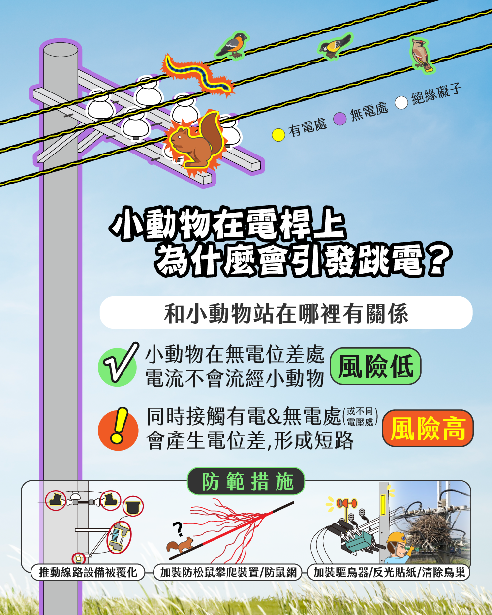 小動物在電桿上為什麼會引發跳電