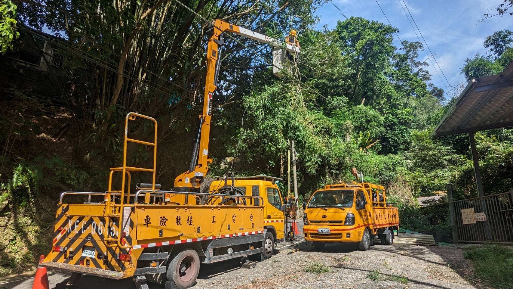 台電汲取過往颱風經驗,及早進行樹木修剪以降低可能災害。