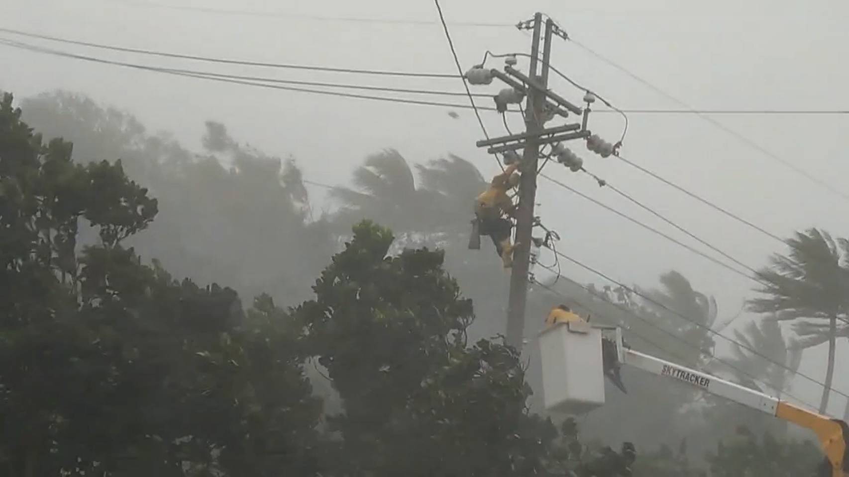 十年停電減七成！台電持續強化電網韌性